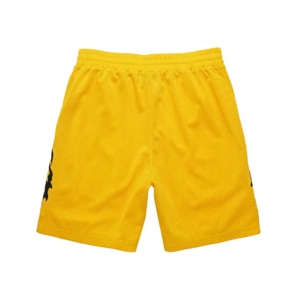 Warren Lotas Serenity Mesh Shorts – Gold